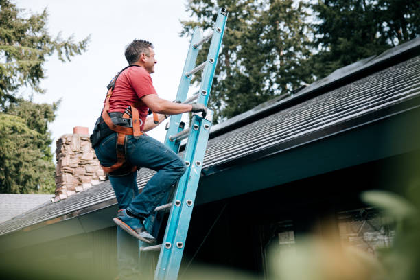 Best Chimney Flashing Repair  in Telford, TN